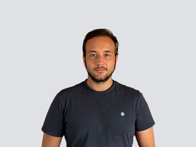Team Member